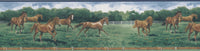 Horse Wallpaper Border 203B25575