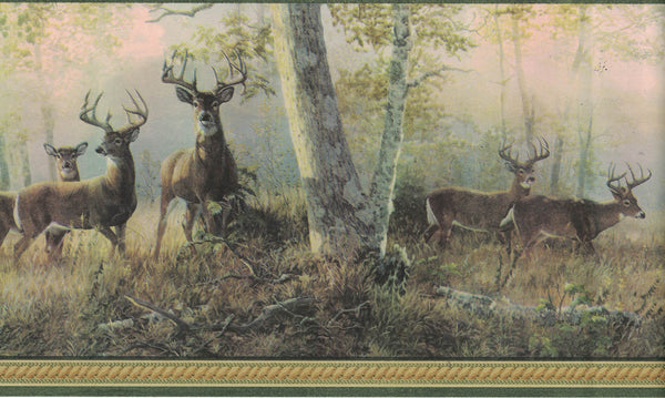 6 1/2 in x 15 ft Prepasted Wallpaper Borders - Deer Wall Paper Border B44341