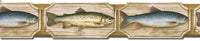 Fish Wallpaper Border SD25005DB