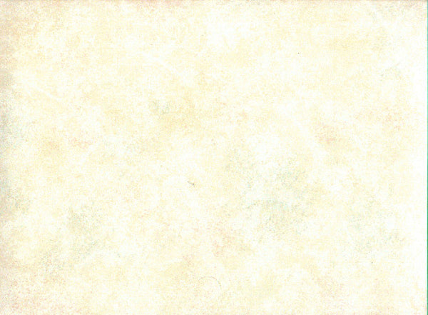 WALLPAPER DOUBLE ROLL 61191