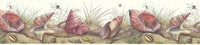 Conch Shell  Wallpaper Border KS74352