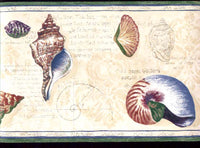 Shell Wallpaper Border B687221